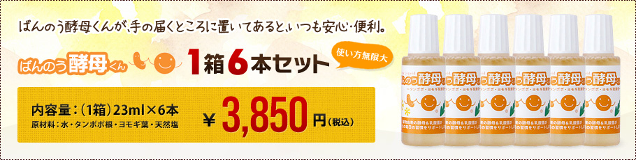 ばんのう酵母くん 1箱6本セット